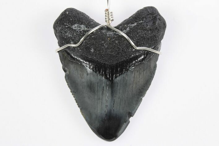 Fossil Juvenile Megalodon Tooth Necklace - Serrated #241971